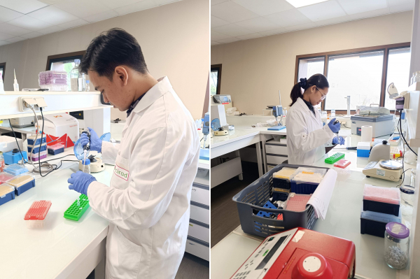 A full day of hands-on training will be held in the UPLB laboratories to put into practice the knowledge gained during the lectures.&copy; Matthieu Chabannes