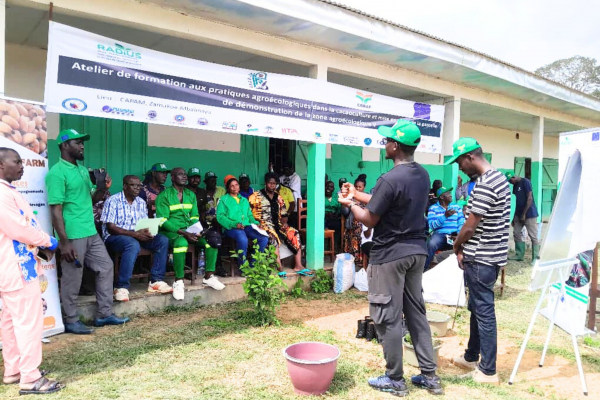 Démonstration pratique des innovations agricoles. © S. Koutchou, Cirad