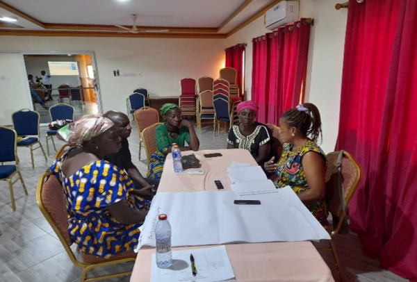 Discussions de groupe sur la m&eacute;canisation &agrave; Hohoe &copy; T. Bakker, Cirad