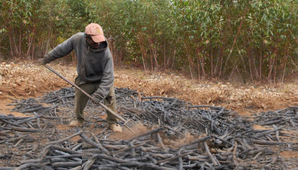 Am&eacute;lioration technique du Charbon de bois &agrave; Madagascar&nbsp;&copy;Cirad