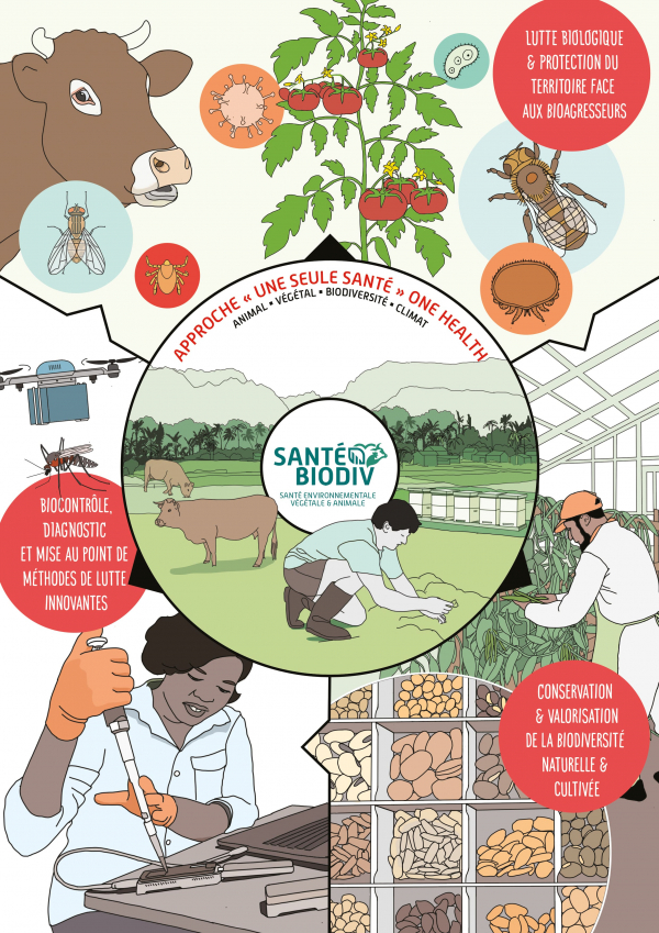 affiche Sante biodiversit&eacute;