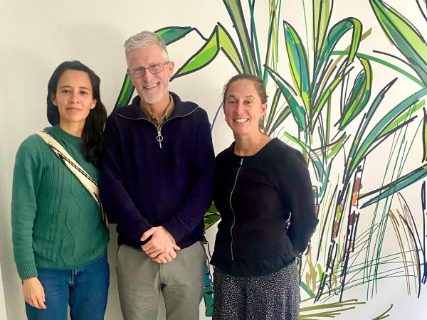 Dirección Regional México, Centroamérica y países andinos. Andrea Gómez (asistente de comunicación), Tanguy Lafarge (director regional) y Aurore Bar (asistente de dirección). © P. Vaast, Cirad