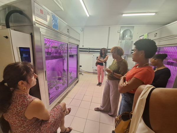 Visite du phytotron par la sous-pr&eacute;f&egrave;te de Trinit&eacute;.&copy; Cirad