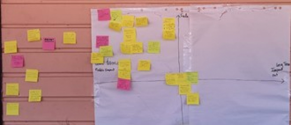 Hiérarchisation des actions concrètes à mettre en oeuvre. © Sandrine Freguin-Gresh, Cirad.jpg