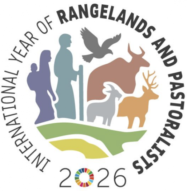 Desertification COP17