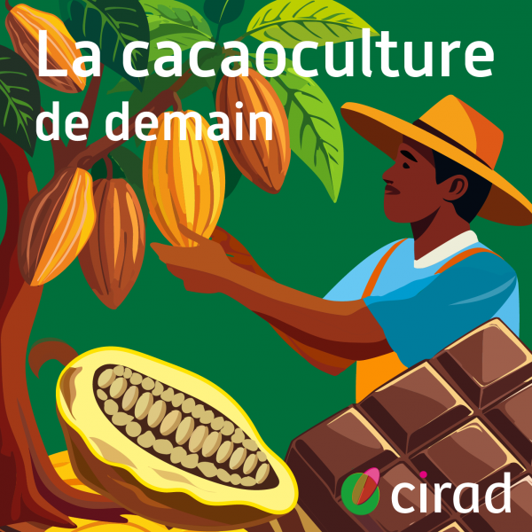 visuel &eacute;pisode cacaoculture de demain