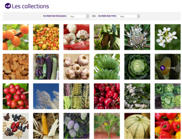 Collections described on the Florilège portal