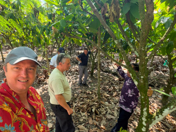 Visiting an experimental cocoa plot at ICCRI while exchanging with two cocoa breeders from this institute. &copy; Baldwin Jehanno