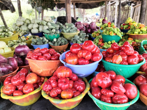 Vegetable display. &copy; Th. Martin, Cirad
