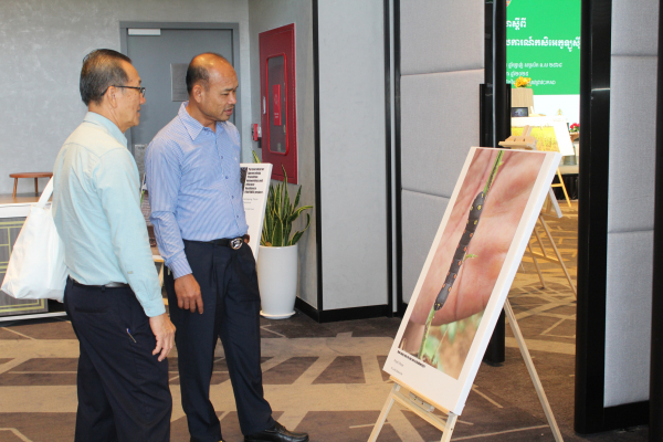 Pictures exhibition about Agroecological Crop Protection
