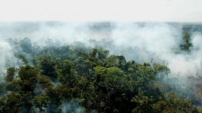 Photo 2. Non seulement la p&eacute;riph&eacute;rie mais aussi le c&oelig;ur du territoire indig&egrave;ne du Haut Guam&aacute; sont touch&eacute;s par les flammes, mena&ccedil;ant la propagation dans tout le secteur Est de Paragominas. L&rsquo;incendie court sur le sol, ravage les sous-bois, affaiblissant toute la structure. A certains moments, la for&ecirc;t br&ucirc;le sur toute sa hauteur.