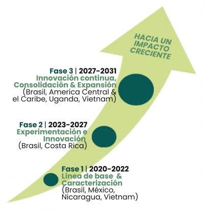 Ecoffee mapa fases