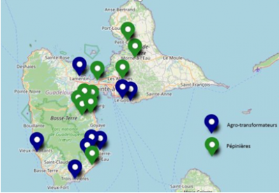 Cartographie des p&eacute;pini&egrave;res et des agro-transformateurs