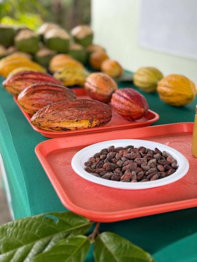 2026 Cacao Costa Rica U. EARTH