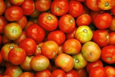 Tomates Martinique. &copy; J. R&eacute;miny