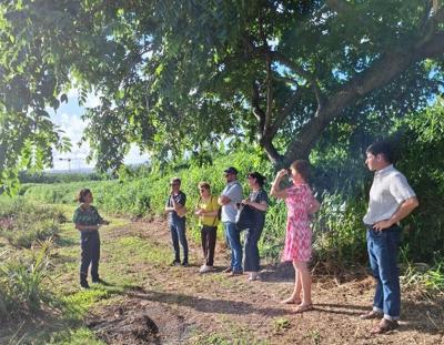 Visite collection ananas. © I.Mialet-Serra, Cirad.jpg