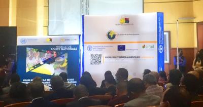 Profil des syst&egrave;mes alimentaires - Madagascar