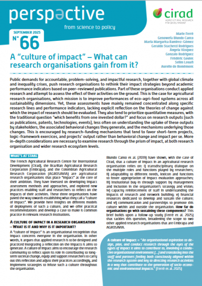 Perspective 66 - cover