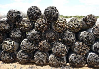 Commercialisation du charbon de bois, Madagascar © P. Montagne/Cirad