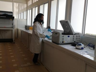 Laboratoire d’entomologie et biologie moléculaire © Cirad