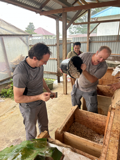 Fermenting fresh cocoa beans for future sensorial assessment of cocoa and chocolate obtained from three commercial cocoa clones in two different environments. &copy; Baldwin Jehanno