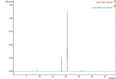 Analyse des composés volatils organiques (COV) des feuilles de gros-thym et des huiles essentielles
