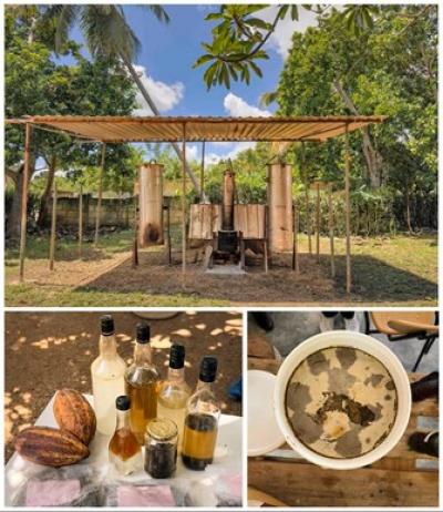 Face aux p&eacute;nuries d'intrants import&eacute;s, une dynamique d'innovation d&eacute;centralis&eacute;e &eacute;merge &agrave; Cuba. &copy; R. Belmin, CIRAD