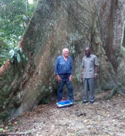 Francis Hall&eacute; et Henri Paul Bourobou Bourobou &agrave; l'arboretum de Sibang, Libreville, 2019.