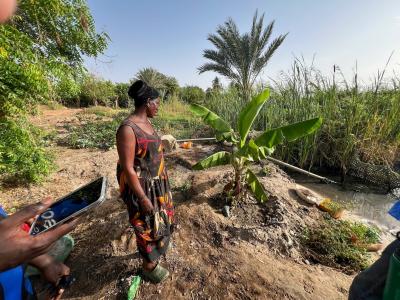 Visite d’un Living Lab à Fatick, où les agriculteurs cultivent du riz et des arbres fruitiers avec le soutien de la DyTAEL