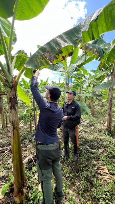 FEF Una Salud Campo Costa Rica