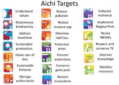 Details of the 20 Aichi biodiversity targets