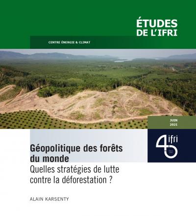 Alain Karsenty, « Géopolitique des forêts du monde : quelles stratégies de lutte contre la déforestation ? », Études de l’Ifri, Ifri, juin 2021