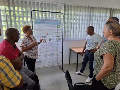 Matin&eacute;e technique PNPP. &copy; G.Cr&eacute;tinoir, Cirad