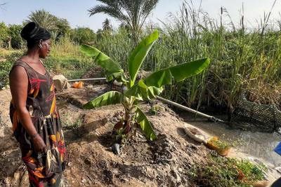 Living Lab visit in Fatick