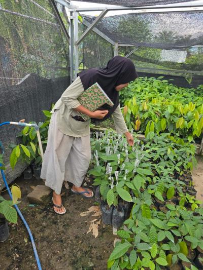 Women farmer&rsquo;s group managing a local nursery (&copy; Manuel Boissi&egrave;re)