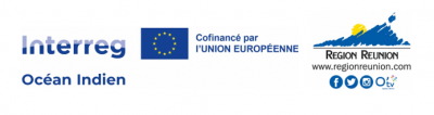 Logo Financeurs - Intereg océan indien - Réunion