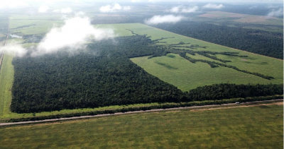 Photo 7. Quand le producteur commence à tenir compte des aptitudes du sol pour améliorer ses pratiques agricoles et ses modes de gestion, les paysages cessent d’être simplement géométriques et artificiels : ils commencent à s’adapter aux ressources naturelles. C’est le début de l’intensification écologique. Promouvoir cette évolution est essentiel pour que les agriculteurs augmentent leurs revenus et les emplois créés, mais aussi pour qu’ils deviennent des producteurs de services écosystémiques pour toute la société.
