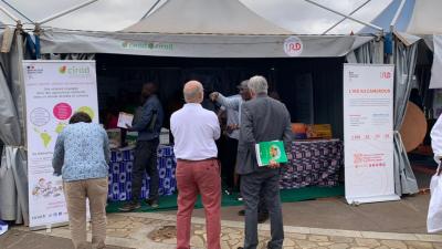 Cirad et IRD, réunis sur un stand commun pour présenter leurs actions au service de la recherche et de l’innovation. © S. Koutchou, Cirad