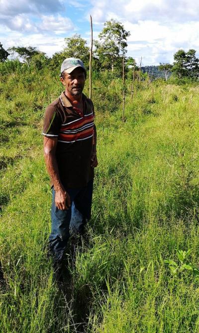Photo 7. Ces technologies sont accessibles à tous les producteurs, dans toutes les situations agraires. Dans la communauté de Nova Jerusálem, ce producteur laitier pourra mettre en place la rotation des pâturages à faible coût grâce à cette clôture gliricide vivante