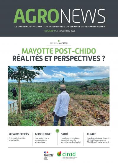 Mayotte post-Chido : r&eacute;alit&eacute;s et perspectives ?