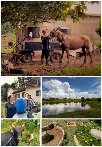 Face aux p&eacute;nuries d&rsquo;&eacute;nergie et d&rsquo;intrants, les exploitations agricoles cubaines cherchent &agrave; renforcer leur autonomie en mobilisant des ressources locales. &copy; R. Belmin, CIRAD