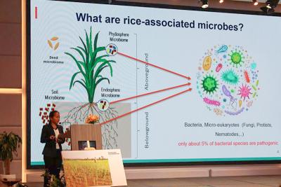 Kakada OEUM ITC DDFAW project exploration exploitation root-associated microbiome sustainable rice agriculture Cambodia