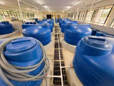 La biofabrique IHPLUS d&rsquo;Indio Hatuey produit un biofertilisant microbien (1 million de litres par an). &copy; R. Belmin, CIRAD