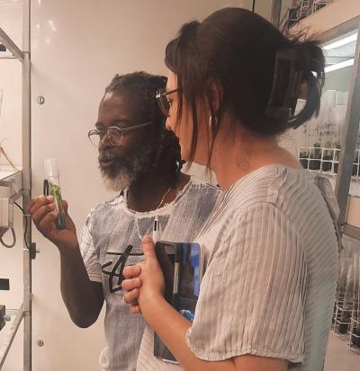 Erick Malédon participant au projet EvoSexYam montrant un vitro-plant d’igname à Claire Giry (PDG ANR)