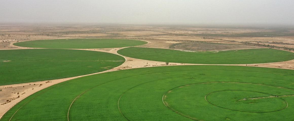 Sénégal : face aux acquisitions de terres agricoles, le défi des observatoires fonciers