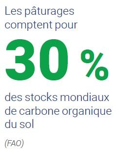Les paturages stockent 30% des stocks mondiaux de carbone du sol