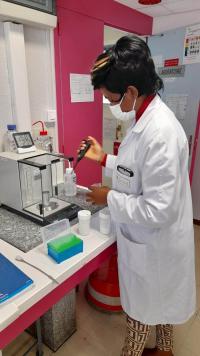 Analyse des indicateurs d'empesage des farines de manioc en laboratoire © G. Wakem