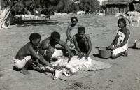 La tonte des chèvres Mohair