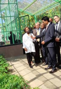 Visite des laboratoires de recherche et des serres