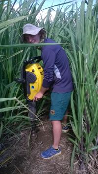 Daniel Poultney mesurant les masses de racines et leurs teneurs en azote à l'aide d'un carottier motorisé
